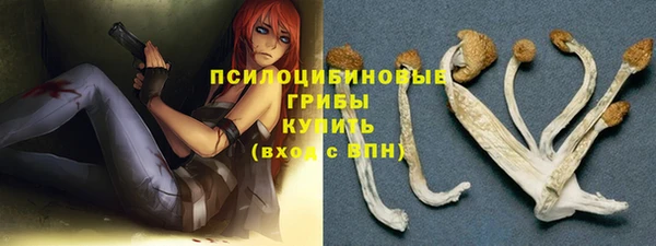 COCAINE Няндома