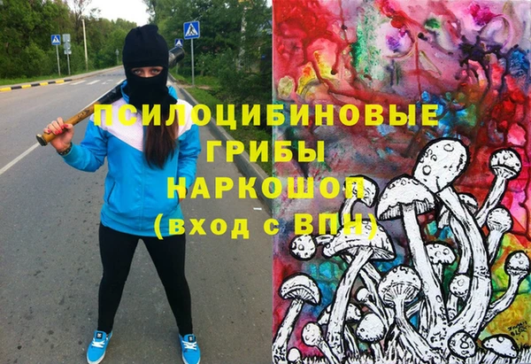 мдпв Нягань