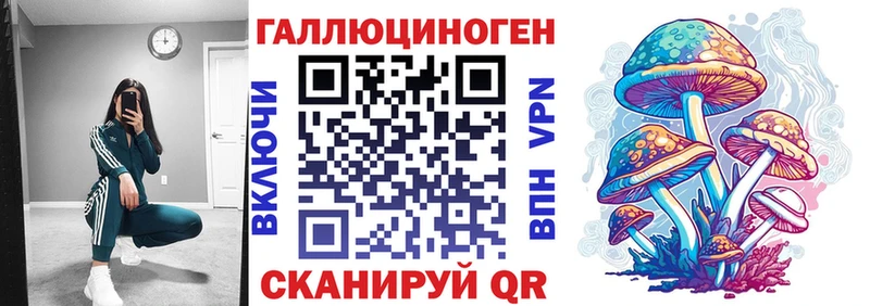 Псилоцибиновые грибы Cubensis  цены   Палласовка 